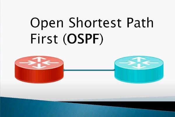 Classless Routing using Open Shortest Path First Protocol