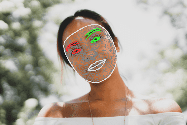 Face Geometry Detection using Python