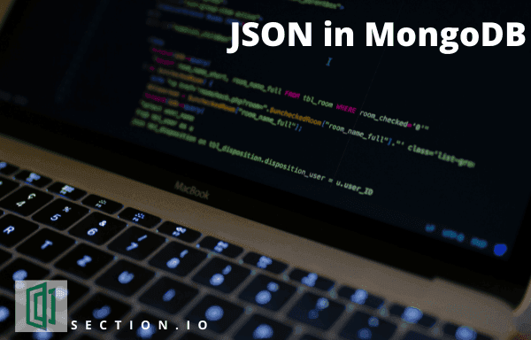 Handling JSON in MongoDB