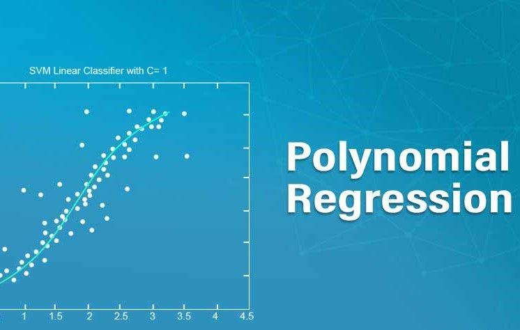 Getting Started with Polynomial Regression in R