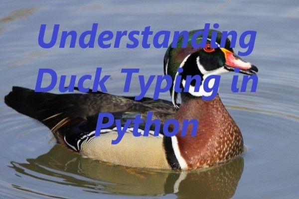 Understanding Duck Typing in Python