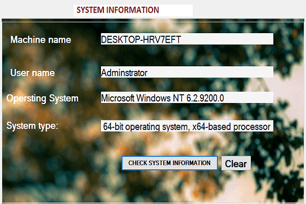 Working With System Information in C# Windows Form Application